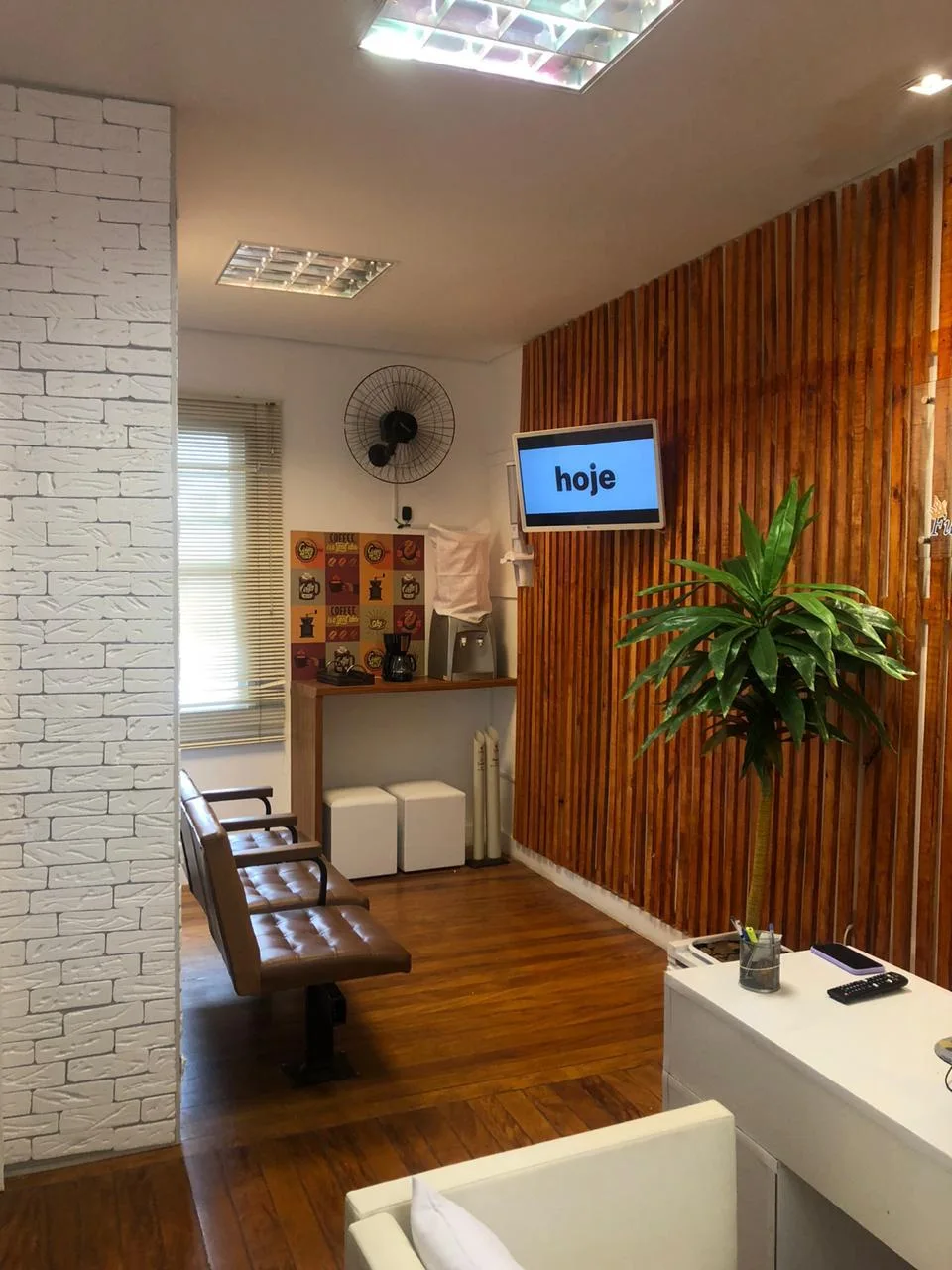Mesa de escritório com planta
